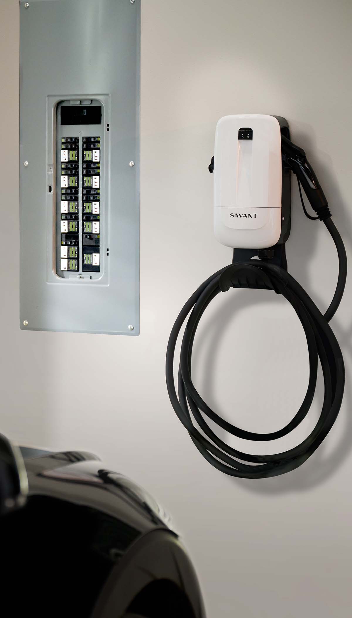 Landscape Lighting with lights in the walkway