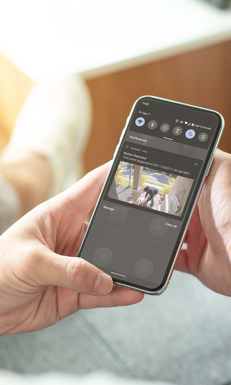 Landscape Lighting with lights in the walkway